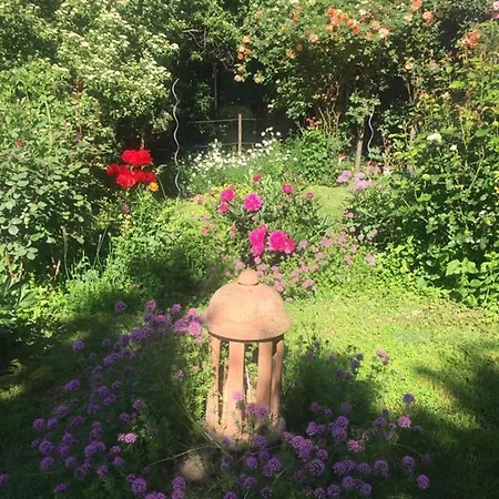 Michaelsbergblick Гостевой дом