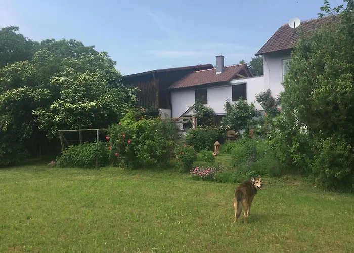 Michaelsbergblick Bönnigheim