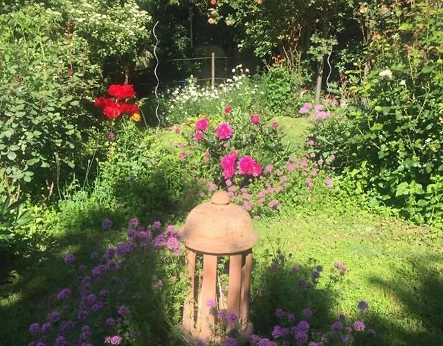 Michaelsbergblick ゲストハウス